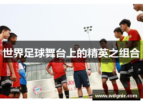 世界足球舞台上的精英之组合