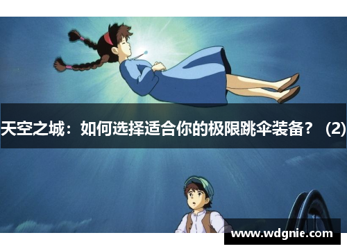 天空之城：如何选择适合你的极限跳伞装备？ (2)