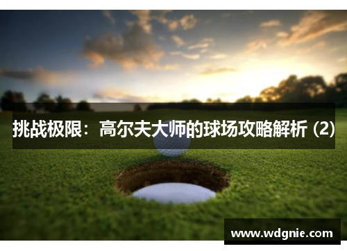 挑战极限：高尔夫大师的球场攻略解析 (2)