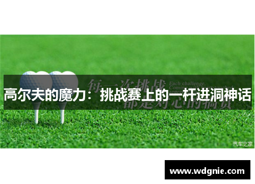 高尔夫的魔力：挑战赛上的一杆进洞神话