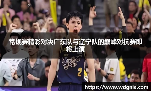 常规赛精彩对决广东队与辽宁队的巅峰对抗赛即将上演